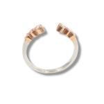 Jardín de Diamantes