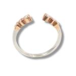 Jardín de Diamantes