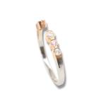 Jardín de Diamantes