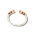 Jardín de Diamantes