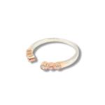 Jardín de Diamantes